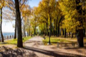 Autumn park vertical motion blurr background. Fall season abstract. photo