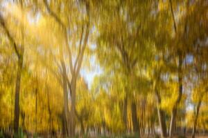 Autumn park with sunshine and vertical motion blurr background. Fall season abstract. photo