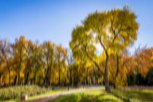 Autumn park vertical motion blurr background. Fall season abstract. photo