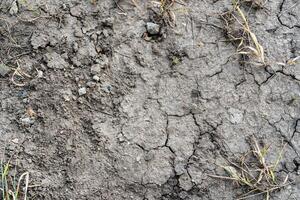 Texture of dry cracked earth. The concept of drought, global warming and climate change. photo