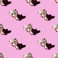 Seamless pattern of clam shells on a pastel background. photo