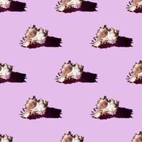 Seamless pattern of clam shells on a pastel pink background. photo