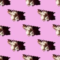 Seamless pattern of clam shells on a pastel background. photo