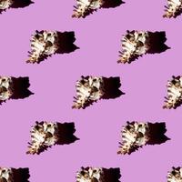 Seamless pattern of clam shells on a pastel background. photo