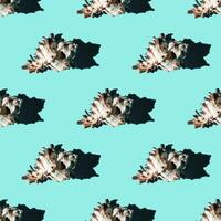 Seamless pattern of clam shells on a cyan background. photo