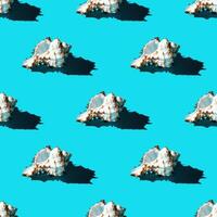 Seamless pattern of clam shells on a cyan background. photo
