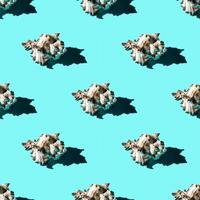 Seamless pattern of clam shells on a cyan background. photo