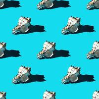 Seamless pattern of clam shells on a cyan background. photo