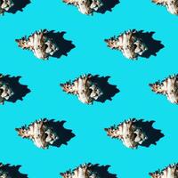 Seamless pattern of clam shells on a cyan background. photo