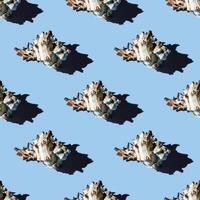 Seamless pattern of clam shells on a blue background. photo