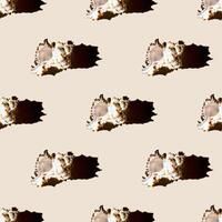 Seamless pattern of clam shells on a pastel yellow background. photo