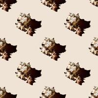 Seamless pattern of clam shells on a pastel yellow background. photo