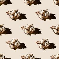 Seamless pattern of clam shells on a pastel yellow background. photo
