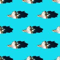 Seamless pattern of clam shells on a cyan background. photo