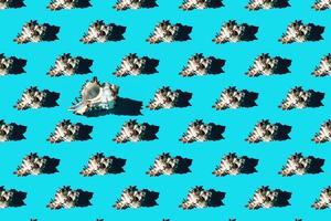 Pattern of clam shells on a cyan background. photo