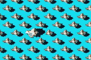 Pattern of clam shells on a cyan background. photo