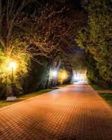City night park in summer with pavement and lanterns. photo