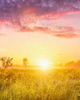Sunrise on a field with wildflowers and cloudy sky. photo