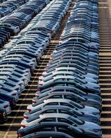 Rows of a new cars parked in a distribution center on a car factory on a sunny day. photo