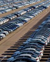 Rows of a new cars parked in a distribution center on a car factory on a sunny day. photo