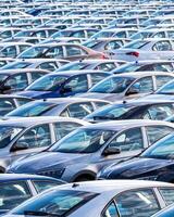 Rows of a new cars parked in a distribution center on a car factory on a sunny day. photo