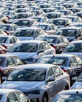 Rows of a new cars parked in a distribution center on a car factory on a sunny day. photo