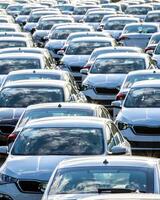 Rows of a new cars parked in a distribution center on a car factory on a sunny day. photo
