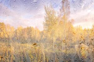 Birch trees with yellow foliage illuminated by the sun after rain behind wet glass in golden autumn. The concept of changing bad weather to good and falling leaves. Abstract landscape. photo