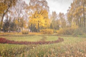 Day park with yellow maple leaves, pavement and benches behind wet rainy glass in golden autumn. The concept of bad weather, change of season and leaf fall. Abstract landscape. photo