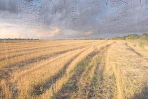An agricultural field with haystacks, illuminated by evening sunlight after rain, behind wet glass in autumn. The concept of changing bad weather to good. Abstract landscape. photo