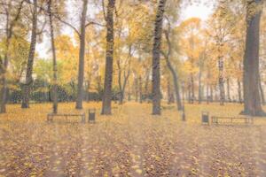 Day park with yellow maple leaves, pavement and benches behind wet rainy glass in golden autumn. The concept of bad weather, change of season and leaf fall. Abstract landscape. photo