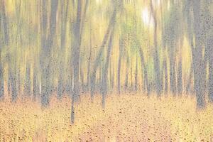 Day park with yellow maple leaves, pavement and benches behind wet rainy glass in golden autumn. The concept of bad weather, change of season and leaf fall. Abstract landscape. photo
