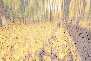 Day park with yellow maple leaves, pavement and benches behind wet rainy glass in golden autumn. The concept of bad weather, change of season and leaf fall. Abstract landscape. photo