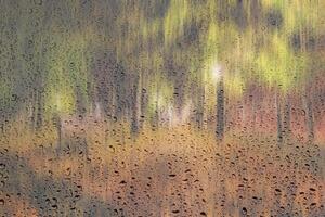 Night rainy park with yellow maple leaves, pavement and lanterns behind wet rainy glass in golden autumn. The concept of bad weather, change of season and leaf fall. Abstract landscape. photo