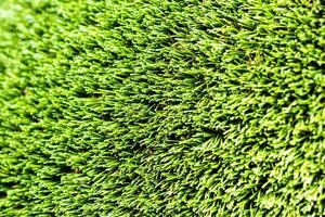 Artificial green grass or needles texture. photo