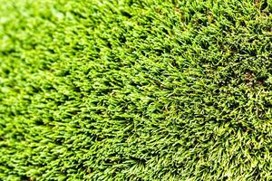 Artificial green grass or needles texture. photo