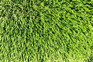 Artificial green grass or needles texture. photo