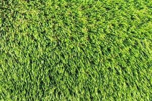 Artificial green grass or needles texture. photo