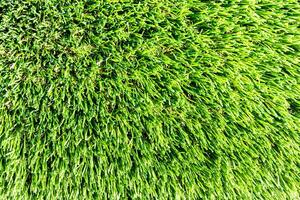 Artificial green grass or needles texture. photo