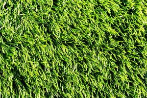 Artificial green grass or needles texture. photo