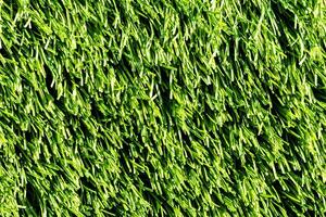 Artificial green grass or needles texture. photo
