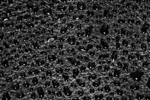 Macro water drops texture. photo