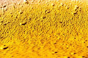 Texture of gas bubbles in light beer. photo