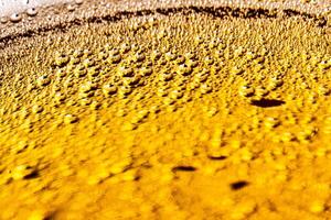 Texture of gas bubbles in light beer. photo