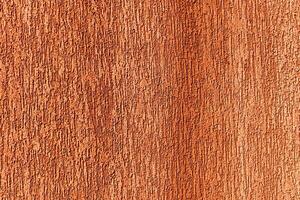 Texture of concrete or plastered wall. photo