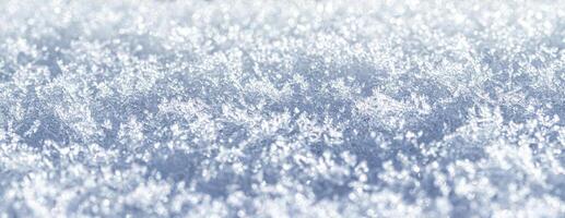 Snow crystals illuminated by sunlight. Winter background. photo