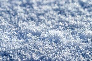 Snow crystals illuminated by sunlight. Winter background. photo