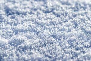 Snow crystals illuminated by sunlight. Winter background. photo