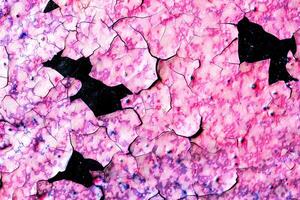 Fragment of colored graffiti painted on a wall. Bright abstract background for design. Spray pictures. photo