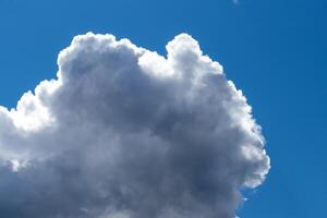 Bright blue sky with cumulus clouds lit by the daytime sun. Abstract background. photo